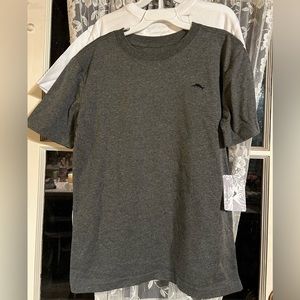 NWT Nautica Boys L Size 10-12 Two Pack Tshirts